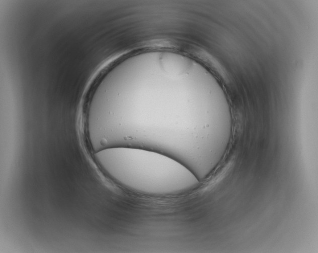 X0000113301125200909141241