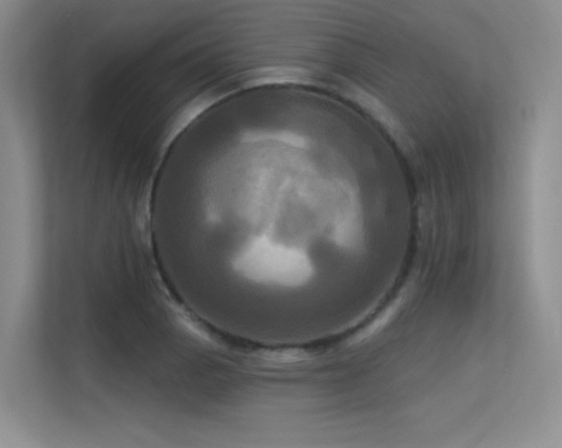 X0000113301129200909141241