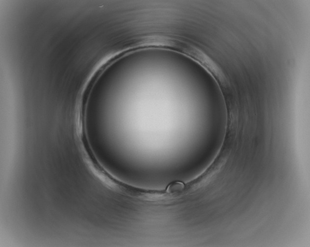 X0000113301132200909141241