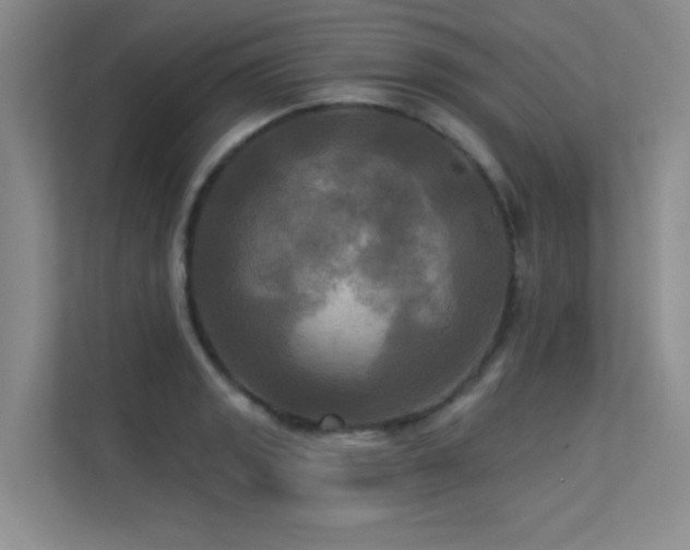 X0000113301133200909141241
