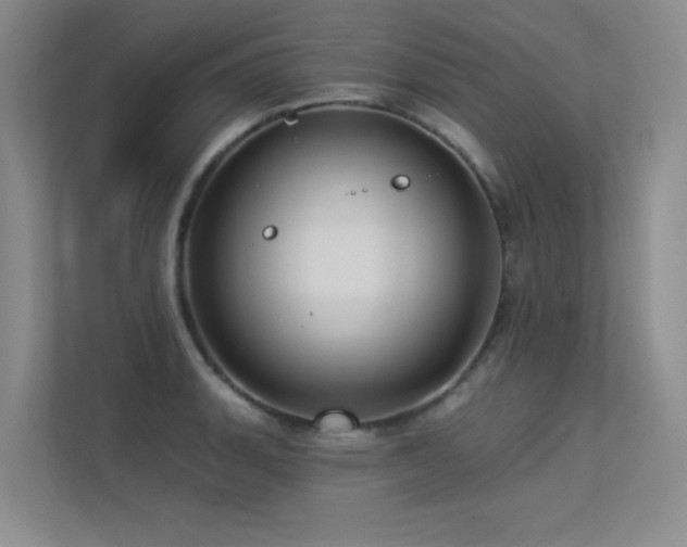 X0000113301135200909141241