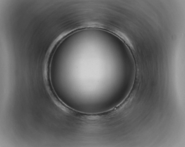 X0000113301136200909141241