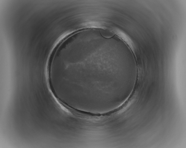 X0000113301141200909141242