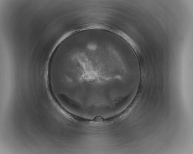 X0000113301142200909141242