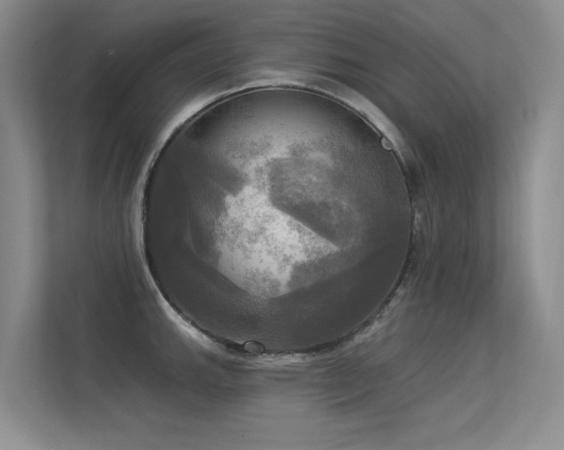 X0000113301143200909141242