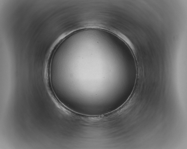 X0000113301144200909141242