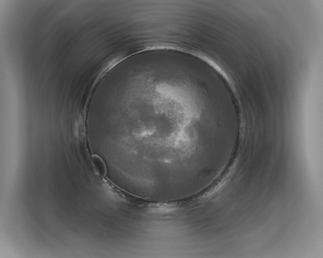 X0000113301145200909141242