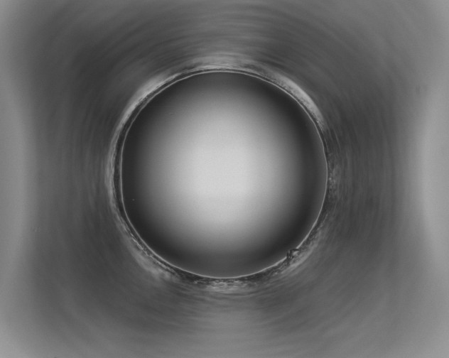 X0000113301146200909141242
