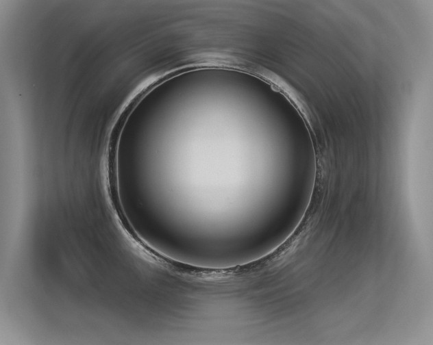 X0000113301147200909141242