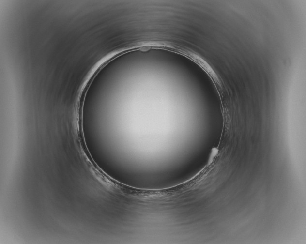 X0000113301148200909141242