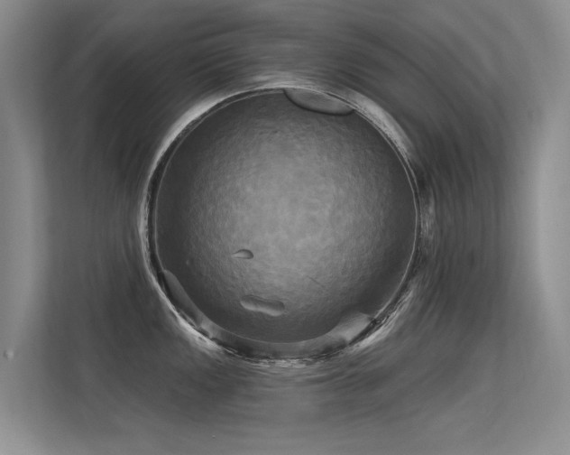 X0000113301149200909141242