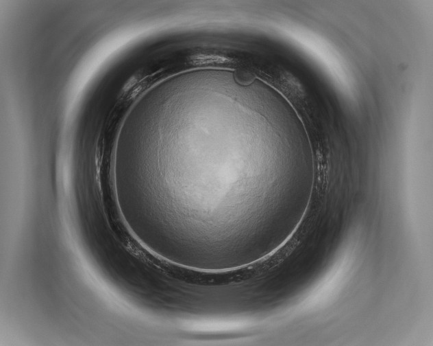 X0000113301151200909141242