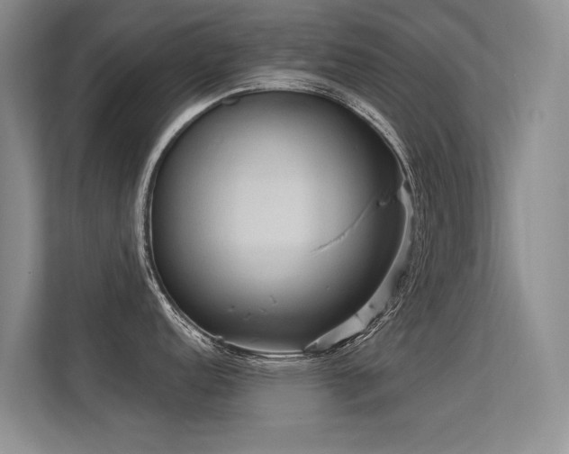 X0000113301152200909141242