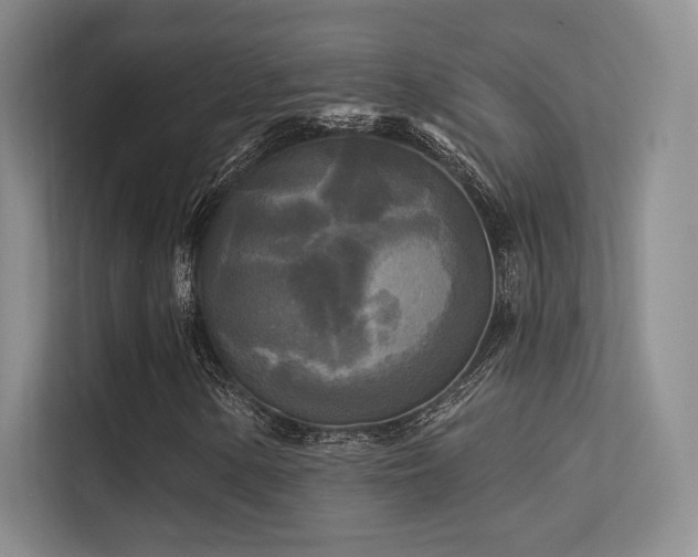 X0000113301154200909141241