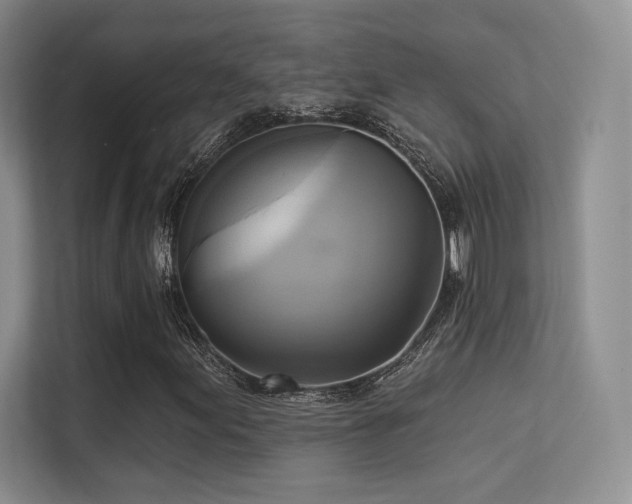 X0000113301155200909141241