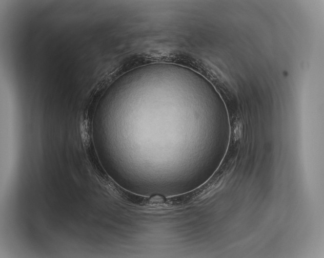 X0000113301156200909141241