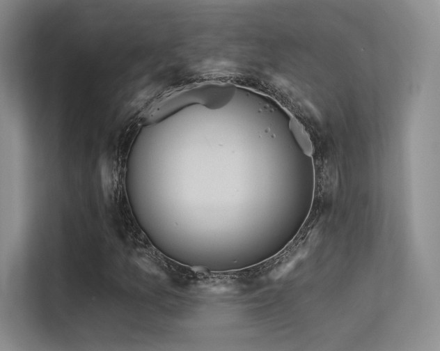 X0000113301157200909141241