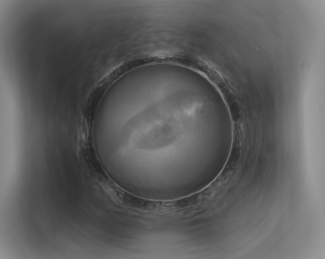 X0000113301158200909141241