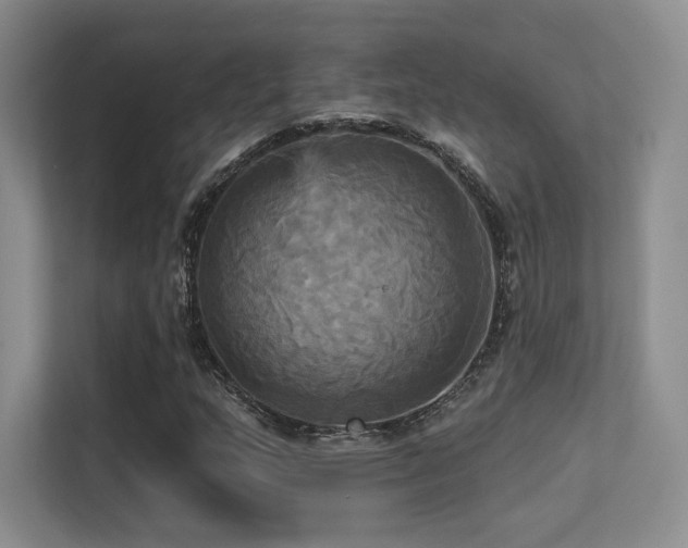 X0000113301159200909141241