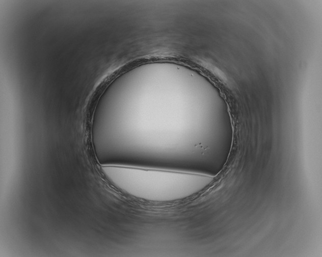 X0000113301160200909141241