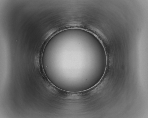 X0000113301162200909141241