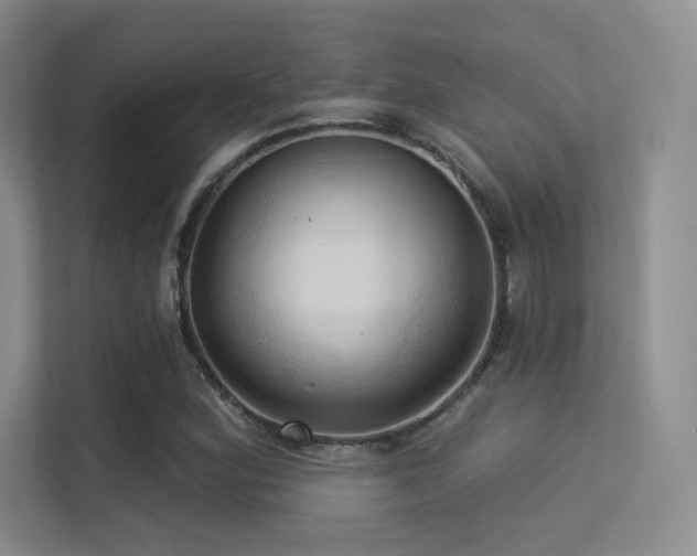 X0000113301164200909141241