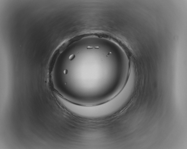 X0000113301165200909141241