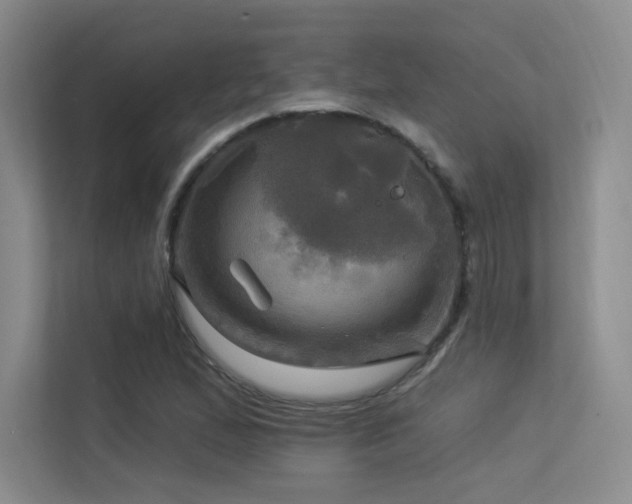 X0000113301167200909141241
