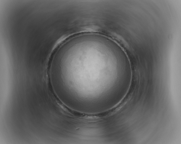 X0000113301168200909141241
