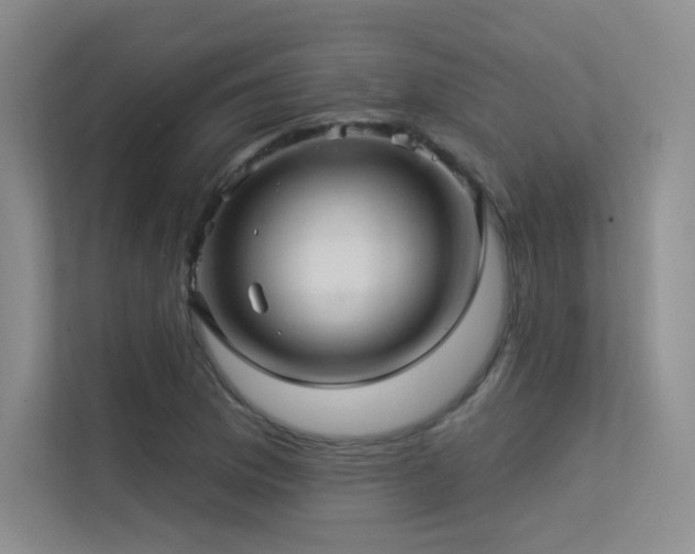 X0000113301169200909141241