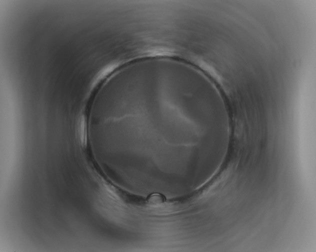 X0000113301171200909141241