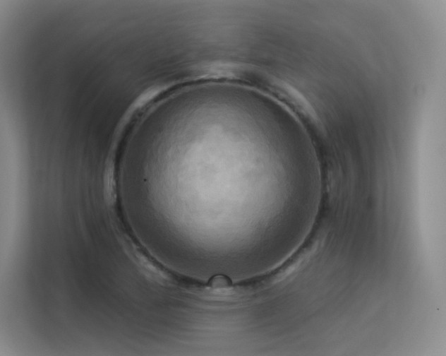 X0000113301172200909141241