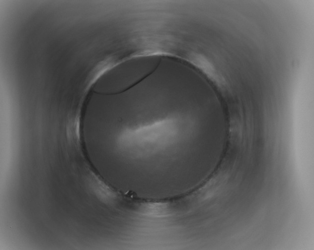 X0000113301173200909141241