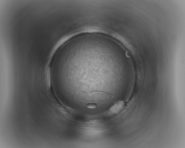 X0000113301175200909141241