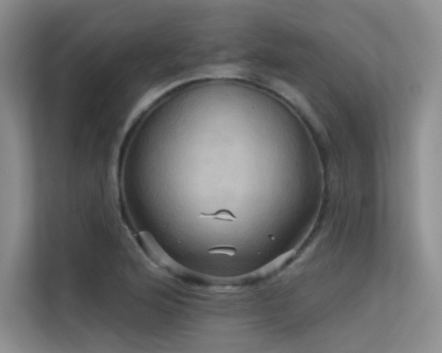 X0000113301176200909141241