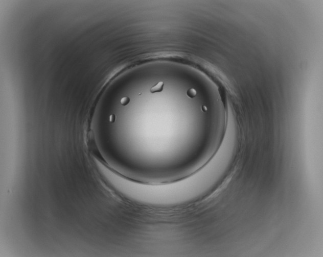 X0000113301177200909141241