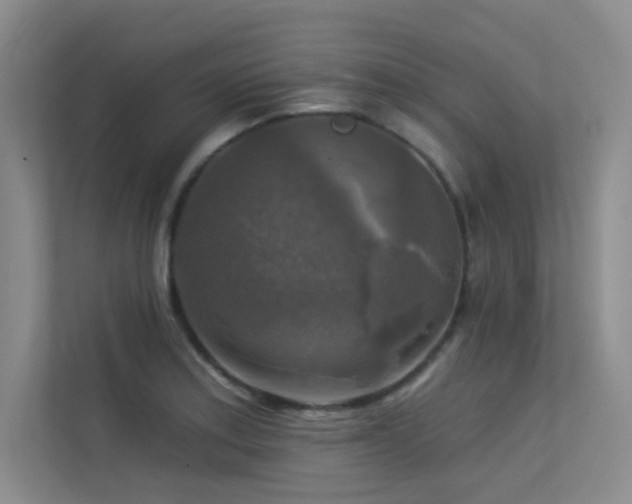 X0000113301179200909141241