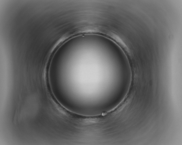 X0000113301181200909141241