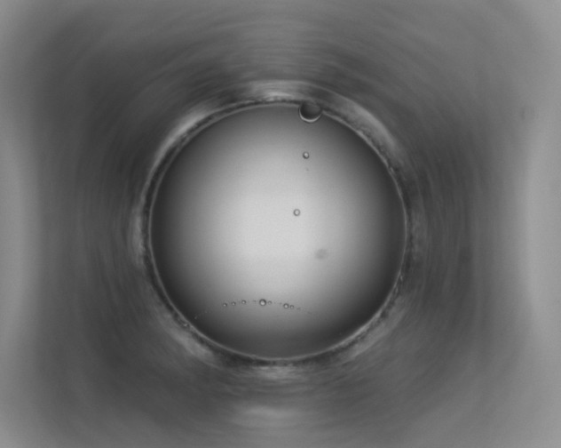 X0000113301182200909141241