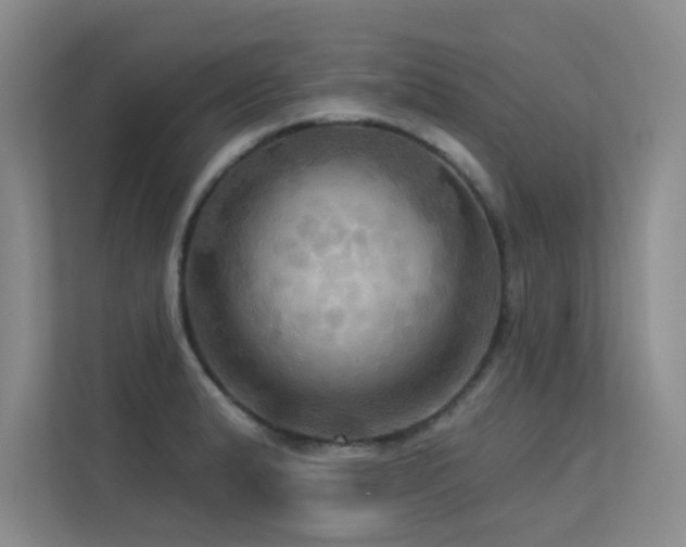 X0000113301183200909141241