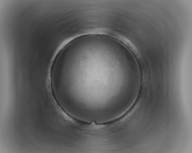 X0000113301184200909141241