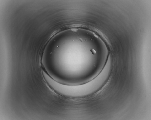 X0000113301185200909141241