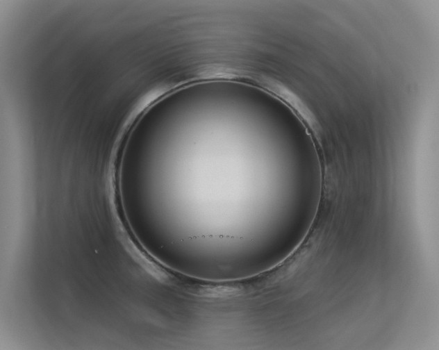 X0000113301187200909141241