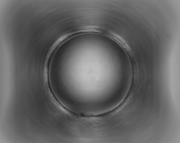 X0000113301188200909141241