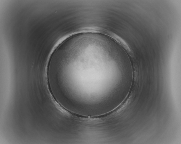 X0000113301192200909141241
