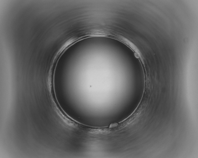 X0000113301195200909141241