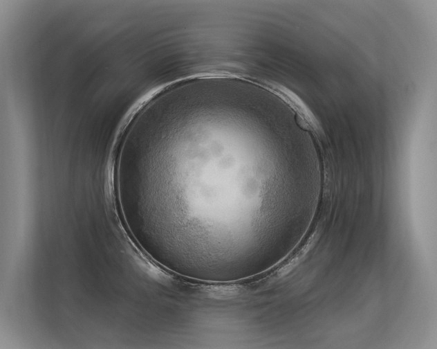 X0000113301196200909141240