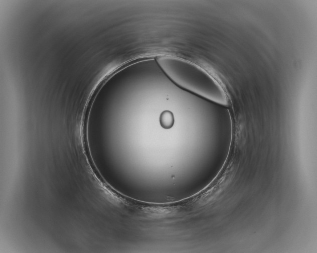 X0000113301197200909141240