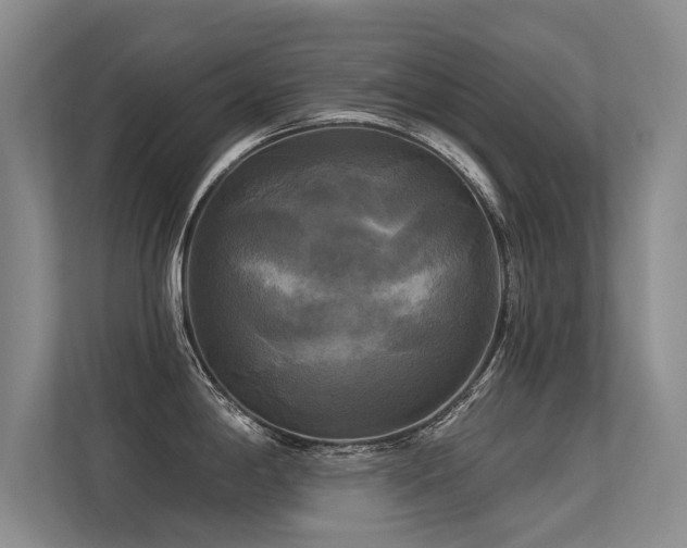 X0000113301198200909141240