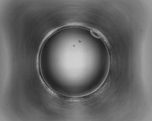 X0000113301199200909141240